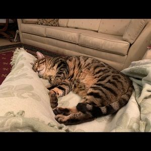 Meet your Posher, Nancy